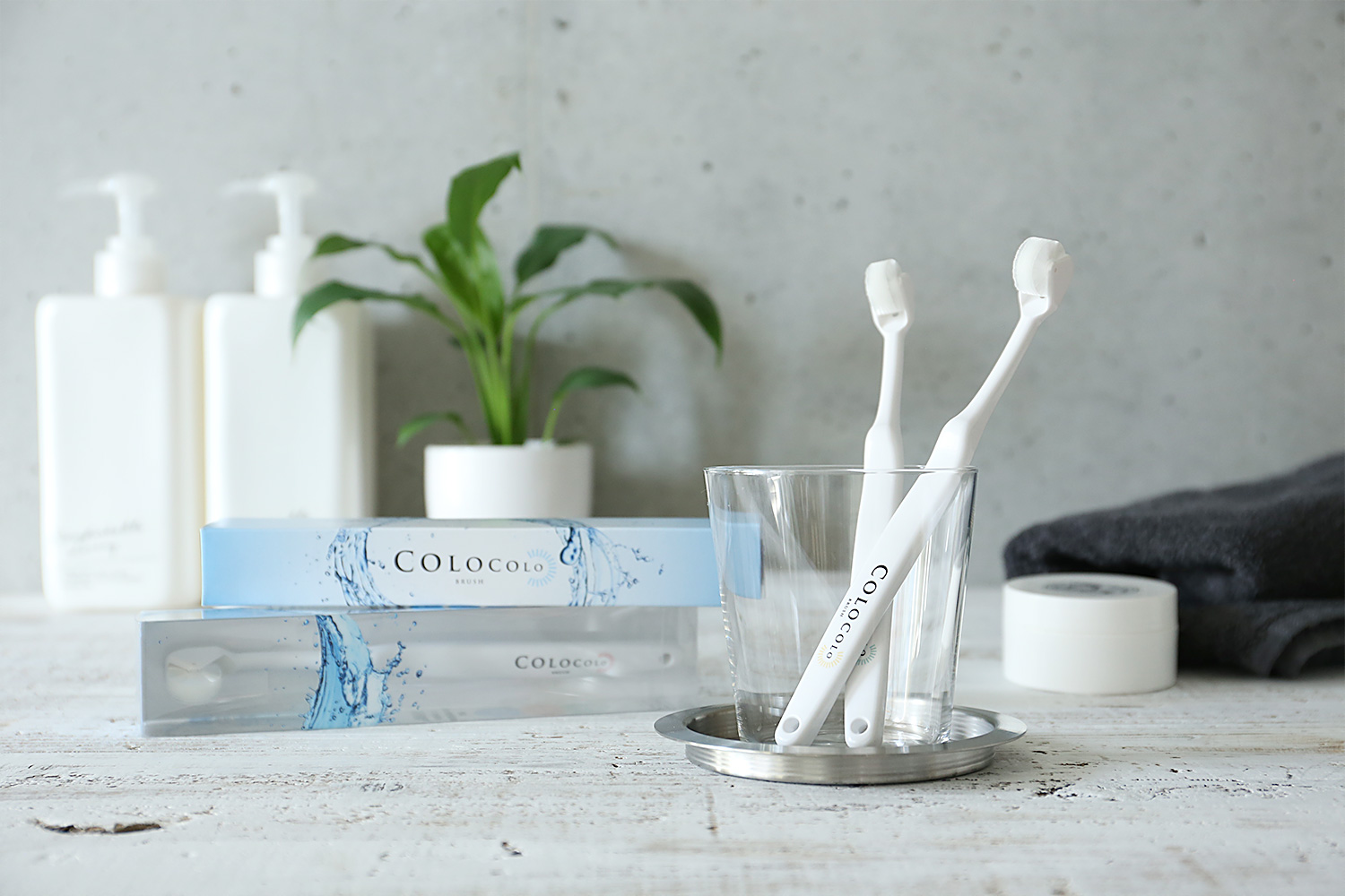 IMG_0591zzzz-1-1-1-1