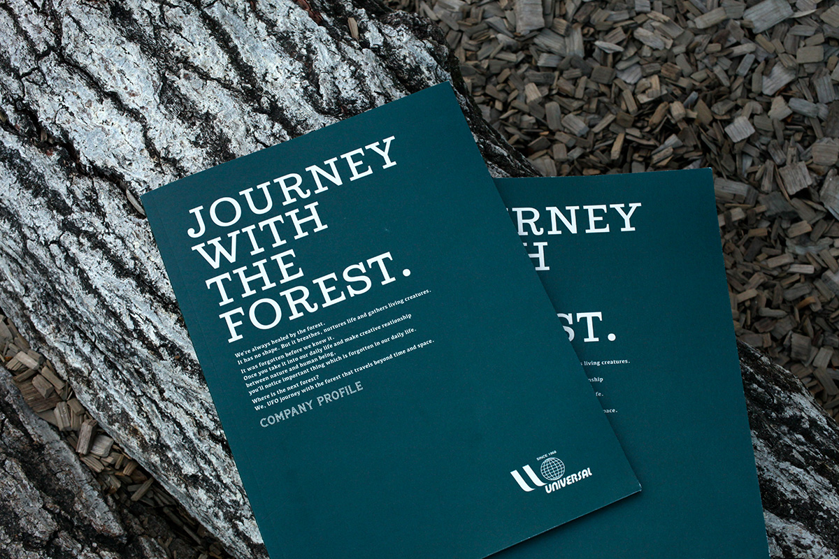 UFO_-pamphletIMG_9101-1