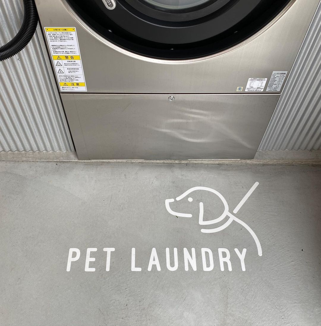 306581641_153429910650904_3804366718607857084_n