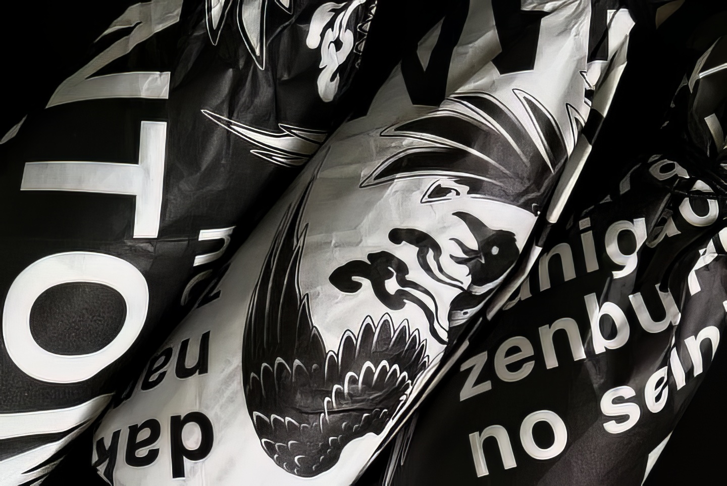 326704492_160502140088708_750170480723745095_n-topaz